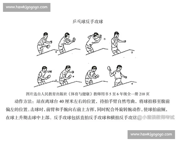 全面提升身体素质的力量训练方法与技巧分析